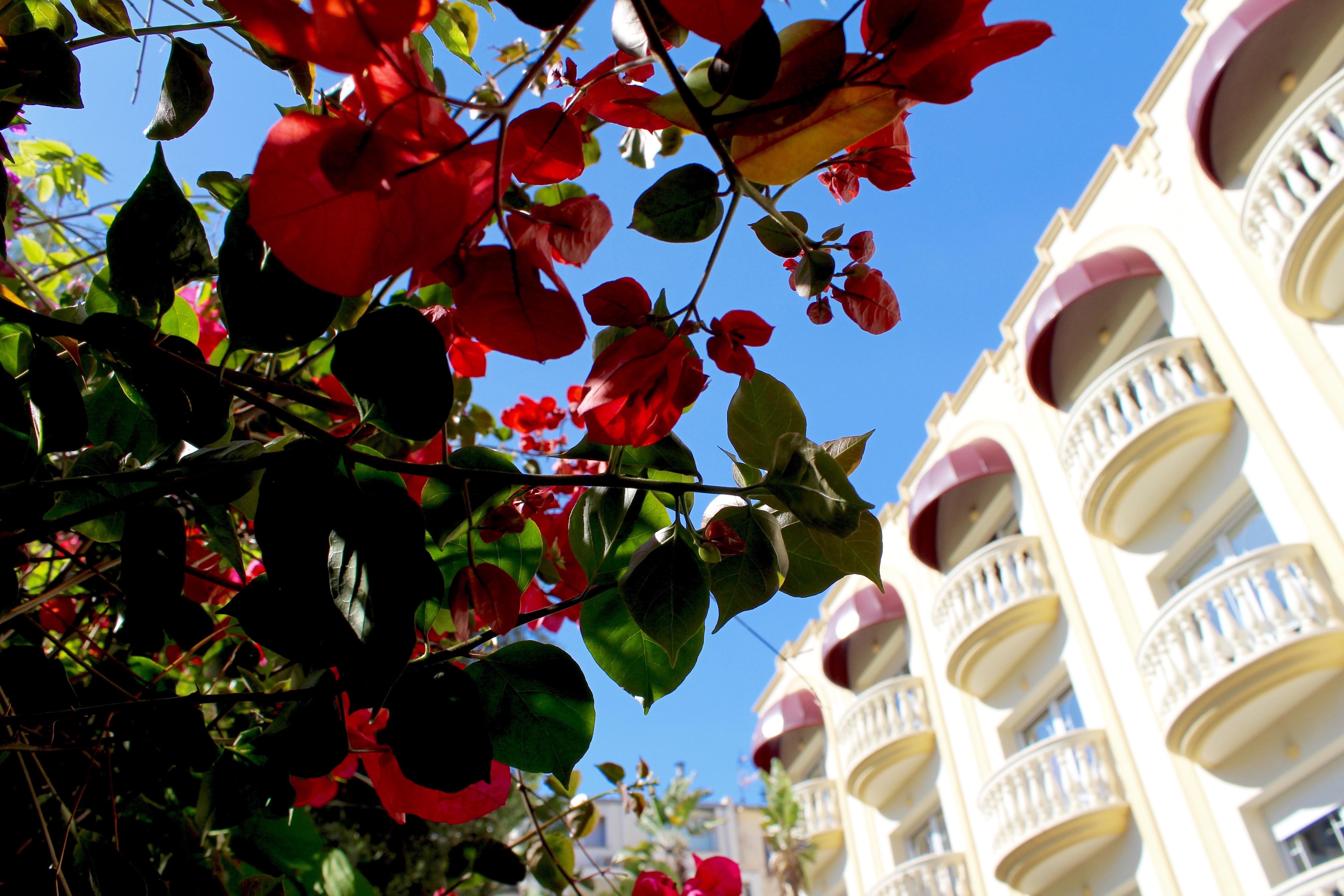 Hotel URH Sitges Playa Exterior foto